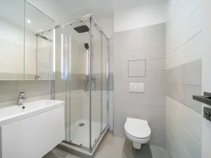 Prodej bytu 1+1, Brno, Cejl, 50 m2