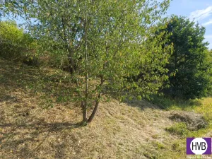 Prodej sadu/vinice, Synkov-Slemeno, 1229 m2
