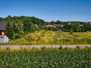 Prodej pozemku pro bydlení, Chvalovice, 3880 m2