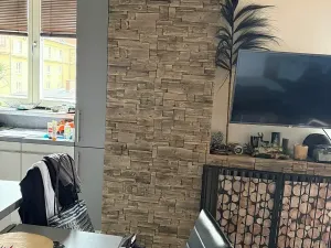 Prodej bytu 2+kk, Ostrava, Pionýrů, 57 m2