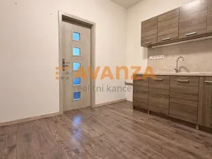 Prodej činžovního domu, Děčín, Kamenická, 261 m2