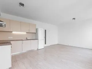 Pronájem bytu 1+kk, Praha - Karlín, Sokolovská, 38 m2