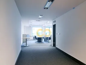 Pronájem kanceláře, Písek - Vnitřní Město, Alšovo nám., 200 m2