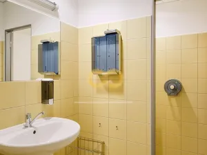 Pronájem kanceláře, Písek - Vnitřní Město, Alšovo nám., 200 m2
