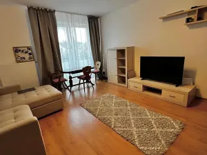 Pronájem bytu 2+kk, Karlovy Vary, Spálená, 64 m2