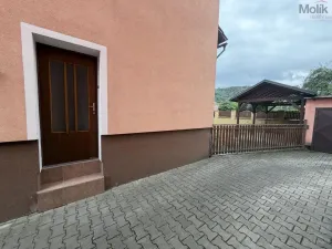 Pronájem vícegeneračního domu, Ústí nad Labem - Svádov, 28. října, 110 m2
