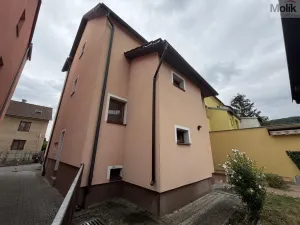 Pronájem vícegeneračního domu, Ústí nad Labem - Svádov, 28. října, 110 m2