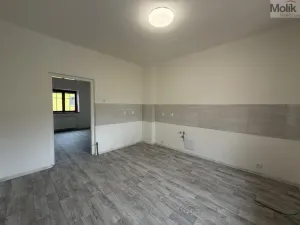 Pronájem vícegeneračního domu, Ústí nad Labem - Svádov, 28. října, 110 m2