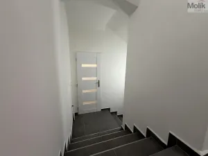 Pronájem vícegeneračního domu, Ústí nad Labem - Svádov, 28. října, 110 m2