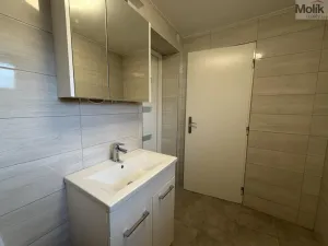 Pronájem vícegeneračního domu, Ústí nad Labem - Svádov, 28. října, 110 m2