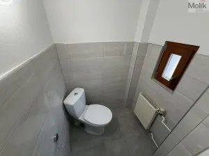 Pronájem vícegeneračního domu, Ústí nad Labem - Svádov, 28. října, 110 m2