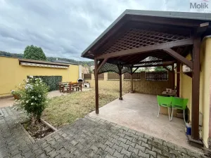 Pronájem vícegeneračního domu, Ústí nad Labem - Svádov, 28. října, 110 m2