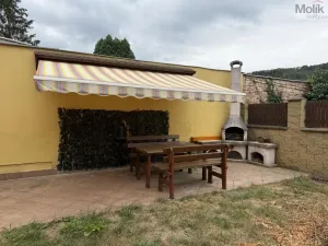 Pronájem vícegeneračního domu, Ústí nad Labem - Svádov, 28. října, 110 m2