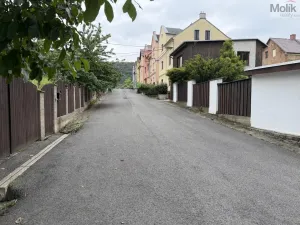 Pronájem vícegeneračního domu, Ústí nad Labem - Svádov, 28. října, 110 m2