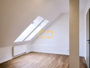 Pronájem bytu 3+kk, Písek - Vnitřní Město, Alšovo nám., 150 m2