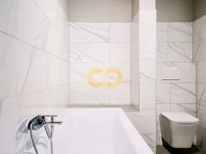 Pronájem bytu 3+kk, Písek - Vnitřní Město, Alšovo nám., 150 m2
