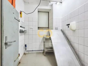 Prodej ubytování, Hoslovice, 468 m2