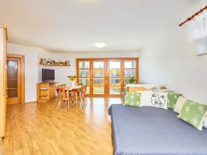 Prodej bytu 1+kk, Horní Planá, Jenišov, 43 m2