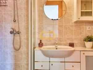 Prodej bytu 1+kk, Horní Planá, Jenišov, 43 m2