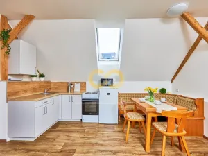 Prodej rodinného domu, Černá v Pošumaví, 320 m2
