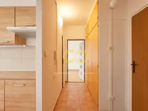 Prodej bytu 2+1, Vodňany, Smetanova, 55 m2