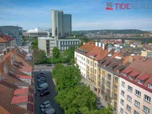 Prodej bytu 2+1, Praha - Nusle, Pod Terebkou, 80 m2