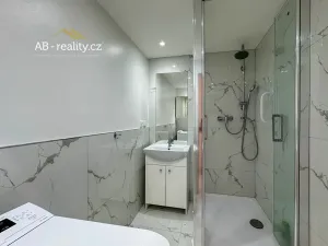 Prodej bytu 2+1, Teplice, Alejní, 54 m2