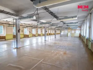 Prodej výrobních prostor, Kolinec, 2640 m2