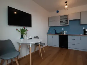 Pronájem bytu 1+kk, Praha, Perucká, 27 m2