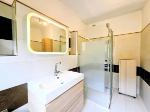 Prodej rodinného domu, Bílovec, 385 m2