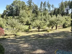 Prodej chaty, Vysoké Mýto, Spálenec, 37 m2