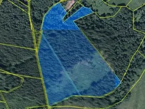 Prodej lesa, Hlavňovice, 56930 m2