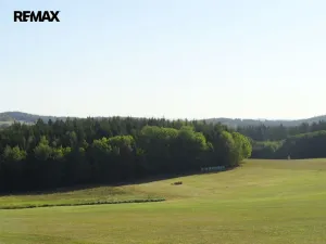 Prodej lesa, Hlavňovice, 28701 m2