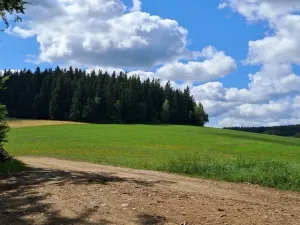 Prodej lesa, Hlavňovice, 5194 m2