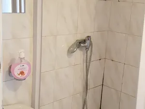 Pronájem bytu 1+1, Teplice, Jana Koziny, 40 m2
