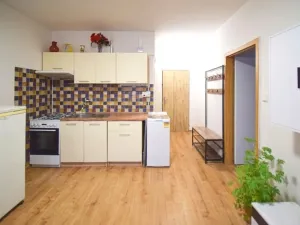 Prodej bytu 1+1, Plzeň - Bolevec, Sokolovská, 36 m2