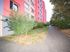 Prodej bytu 1+1, Plzeň - Bolevec, Sokolovská, 36 m2
