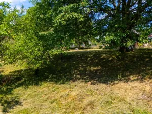 Prodej rodinného domu, Velké Svatoňovice - Markoušovice, 150 m2