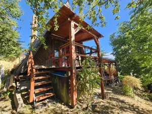 Prodej chaty, Moravská Třebová - Boršov, 50 m2