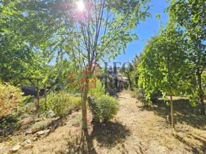 Prodej chaty, Moravská Třebová - Boršov, 50 m2
