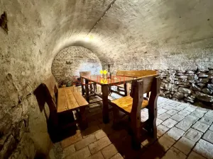 Prodej vinného sklepa, Zaječí, Hlavní, 6 m2
