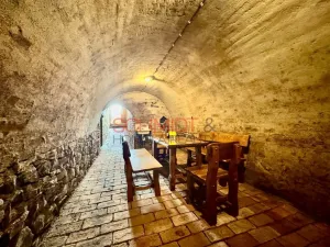 Prodej vinného sklepa, Zaječí, Hlavní, 6 m2