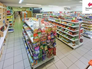 Prodej rodinného domu, Blovice, Americká, 260 m2