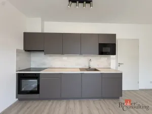 Pronájem bytu 1+kk, Plzeň - Jižní Předměstí, Železná, 42 m2