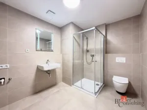 Pronájem bytu 1+kk, Plzeň - Jižní Předměstí, Železná, 42 m2
