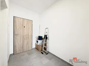 Pronájem bytu 1+kk, Plzeň - Jižní Předměstí, Železná, 42 m2