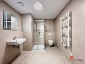 Pronájem bytu 1+kk, Plzeň - Jižní Předměstí, Železná, 42 m2