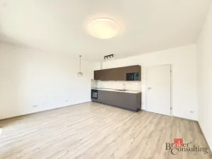 Pronájem bytu 1+kk, Plzeň - Jižní Předměstí, Železná, 42 m2
