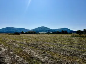 Prodej pozemku pro bydlení, Kozlovice, 4354 m2