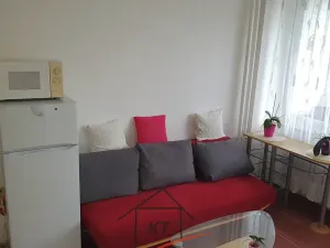 Pronájem bytu 1+kk, Ústí nad Labem, Hoření, 28 m2